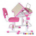  -   FunDesk Colore pink